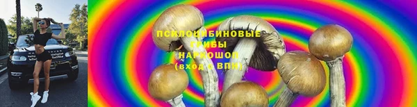 мет Кулебаки